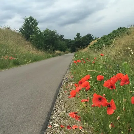 Felix Appartement Templin