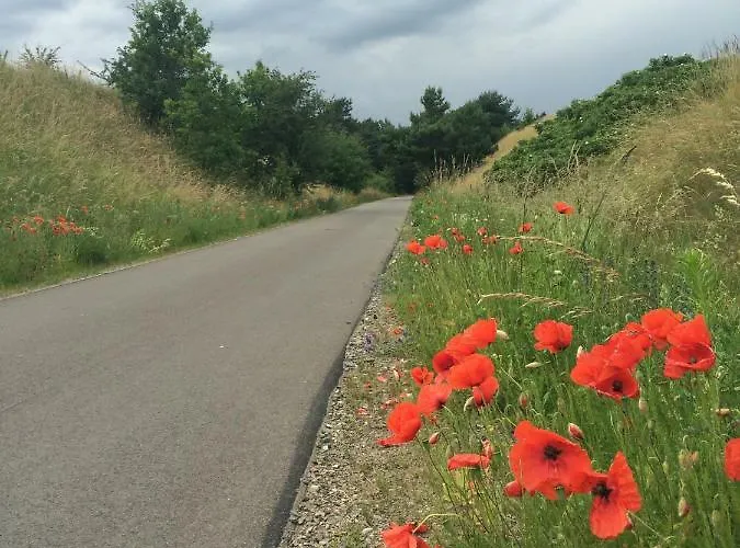 Felix Lägenhet Templin